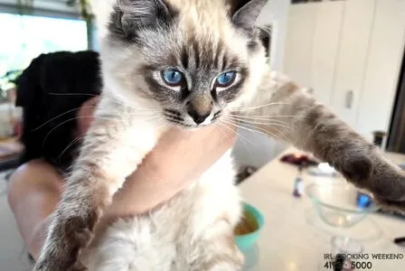 Layna Lazar OnlyFans Leaked Free Thumbnail Picture - #2ktl0rQWWX