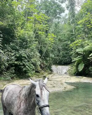 Leah Postol OnlyFans Leaked Free Thumbnail Picture - #hyiPuDGiV7