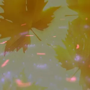 Leanne Crow OnlyFans Leaked Free Thumbnail Picture - #YWh4AruX2w