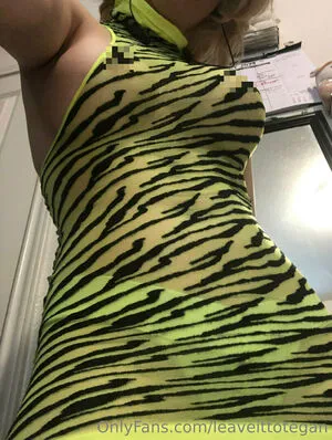 Leaveittotegan OnlyFans Leaked Free Thumbnail Picture - #h29Mnxd1YT