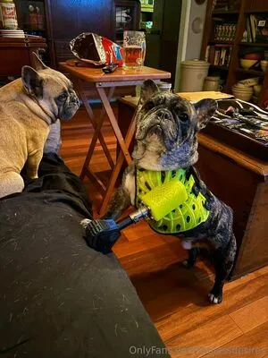 Leglessdesires OnlyFans Leaked Free Thumbnail Picture - #vWQKjK2eKJ