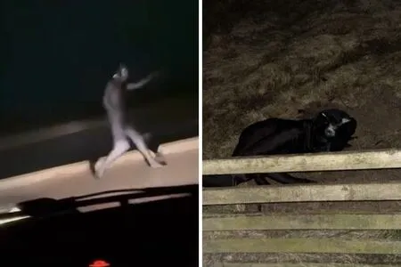 Lella Gresia OnlyFans Leaked Free Thumbnail Picture - #483GxkMnUM