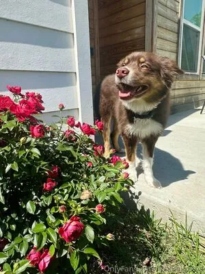 Lenaleighton OnlyFans Leaked Free Thumbnail Picture - #ovvNot5YCJ