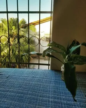 Letibella OnlyFans Leaked Free Thumbnail Picture - #3BloaWPFi7