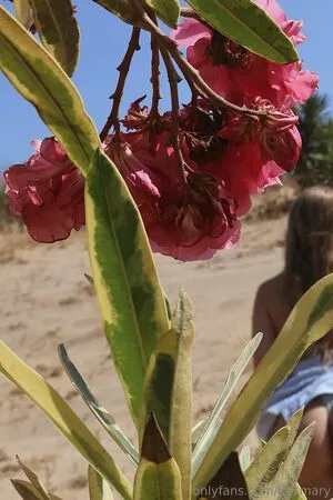 Letsmary OnlyFans Leaked Free Thumbnail Picture - #lPKvyFZPUt