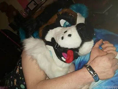 Lexipuppy OnlyFans Leaked Free Thumbnail Picture - #nlXnfmJCSe