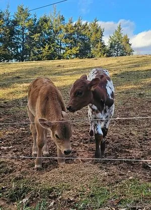 Lexxi Love27 OnlyFans Leaked Free Thumbnail Picture - #ZrXOBkIszP