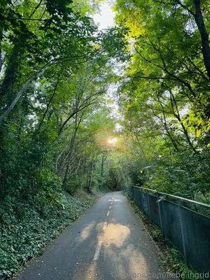 Liebe Ingrid OnlyFans Leaked Free Thumbnail Picture - #HtMkMZwlBH