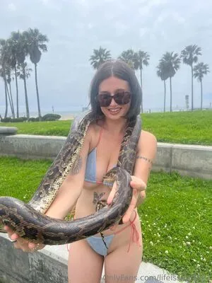 Lifeisshort123 OnlyFans Leaked Free Thumbnail Picture - #A39CCprMeM