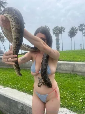 Lifeisshort123 OnlyFans Leaked Free Thumbnail Picture - #tJWflb5pIY