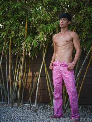 Lifeofalexjames OnlyFans Leaked Free Thumbnail Picture - #N5GTcB5L3x