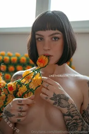 Likethebugortheletter OnlyFans Leaked Free Thumbnail Picture - #kYsuHrrNG2