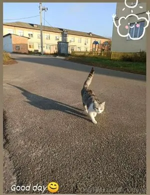 Lil Kitty Yy OnlyFans Leaked Free Thumbnail Picture - #fIJhqGJxxc