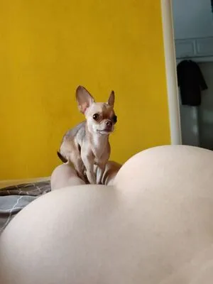 Lil Yves OnlyFans Leaked Free Thumbnail Picture - #ZjG1OM7msN