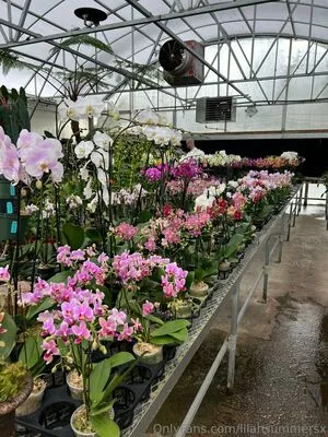 Lilahsummersx OnlyFans Leaked Free Thumbnail Picture - #TnQXZsmCSq