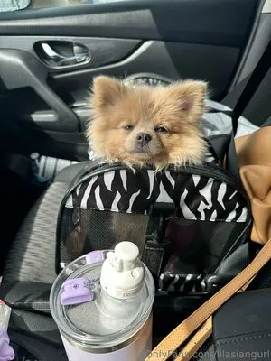 Lilasiangurl OnlyFans Leaked Free Thumbnail Picture - #PSWP3I6CAO