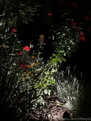 Lilfoxyts OnlyFans Leaked Free Thumbnail Picture - #krtOqBVFgj