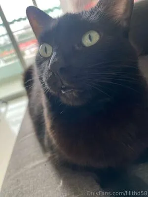 Lilithd58 OnlyFans Leaked Free Thumbnail Picture - #9VRVEqOkAC