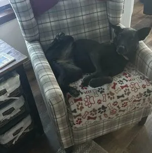 Lilrosiedoll OnlyFans Leaked Free Thumbnail Picture - #2G3g2uvcBP