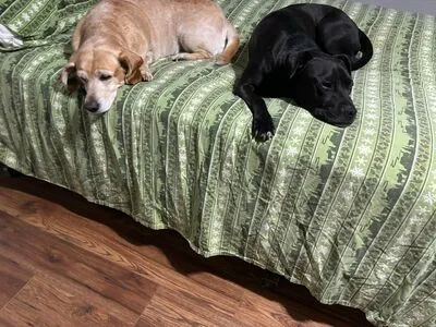 Lilrosiedoll OnlyFans Leaked Free Thumbnail Picture - #4mTcTNS4i8