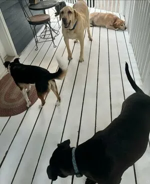 Lilrosiedoll OnlyFans Leaked Free Thumbnail Picture - #7cSDk41MTC