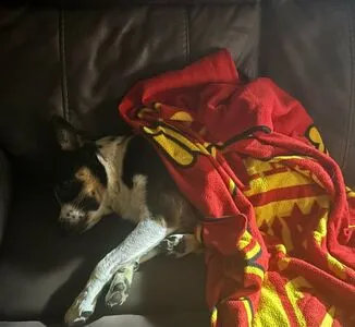 Lilrosiedoll OnlyFans Leaked Free Thumbnail Picture - #A4TpYa7NRo