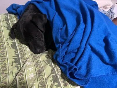 Lilrosiedoll OnlyFans Leaked Free Thumbnail Picture - #AFKEPzNPfc