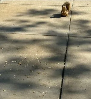 Lilrosiedoll OnlyFans Leaked Free Thumbnail Picture - #C3VQDwyOdV