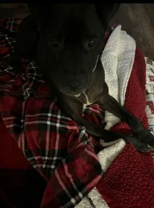 Lilrosiedoll OnlyFans Leaked Free Thumbnail Picture - #GcspPOOKLi