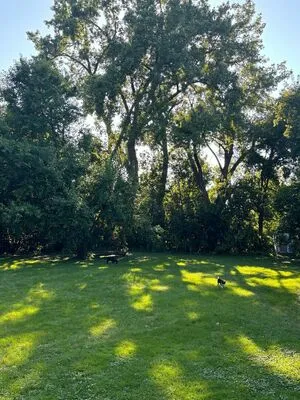 Lilrosiedoll OnlyFans Leaked Free Thumbnail Picture - #IBqZJkBuyy