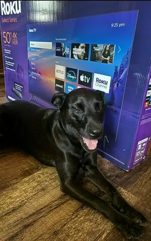 Lilrosiedoll OnlyFans Leaked Free Thumbnail Picture - #KnQ8GRqmsP