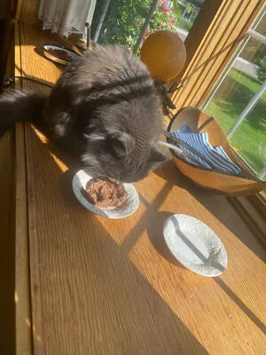 Lilrosiedoll OnlyFans Leaked Free Thumbnail Picture - #MSB4lTKtO9