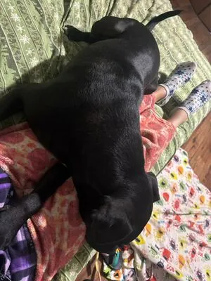 Lilrosiedoll OnlyFans Leaked Free Thumbnail Picture - #QvcK3agij2