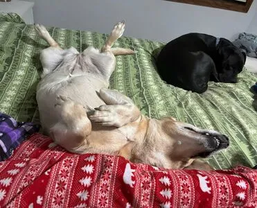 Lilrosiedoll OnlyFans Leaked Free Thumbnail Picture - #UmQXHj64yv