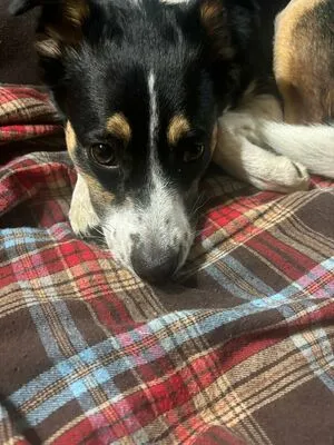 Lilrosiedoll OnlyFans Leaked Free Thumbnail Picture - #VK0lA6nLV2