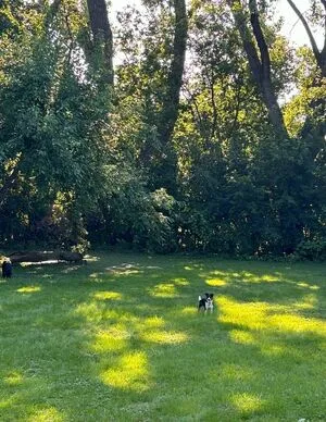 Lilrosiedoll OnlyFans Leaked Free Thumbnail Picture - #aEFjFICqT4