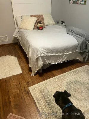 Lilrosiedoll OnlyFans Leaked Free Thumbnail Picture - #kOO8l45aHG