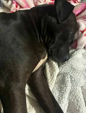 Lilrosiedoll OnlyFans Leaked Free Thumbnail Picture - #oCpHyjAC2Y