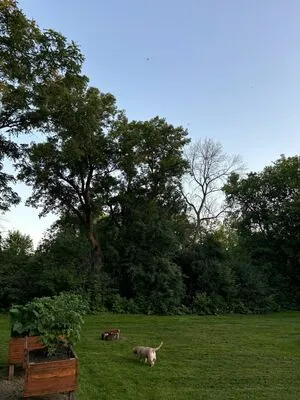 Lilrosiedoll OnlyFans Leaked Free Thumbnail Picture - #sGVDP5v6ym