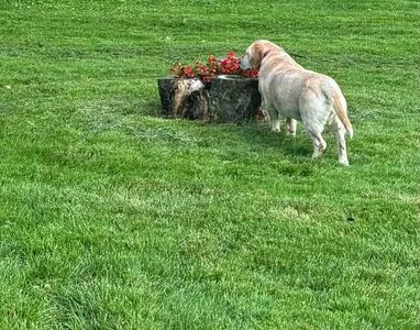 Lilrosiedoll OnlyFans Leaked Free Thumbnail Picture - #uEqWBEWCm9