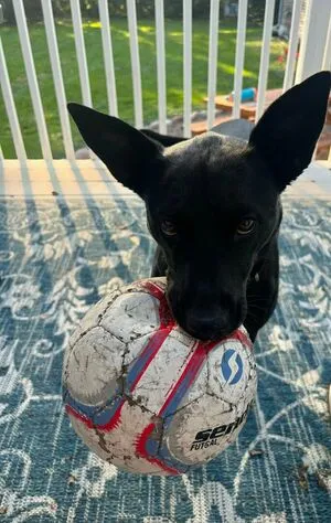 Lilrosiedoll OnlyFans Leaked Free Thumbnail Picture - #wQ2t4csSEO