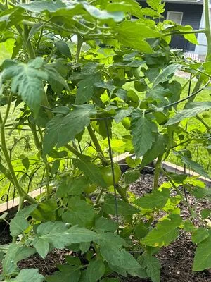 Lilrosiedoll OnlyFans Leaked Free Thumbnail Picture - #wQmXGCVSQ0