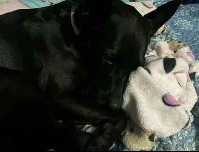 Lilrosiedoll OnlyFans Leaked Free Thumbnail Picture - #yOXQ4xoKXj