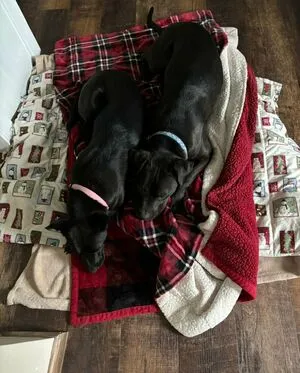 Lilrosiedoll OnlyFans Leaked Free Thumbnail Picture - #zlB2QvsHYW