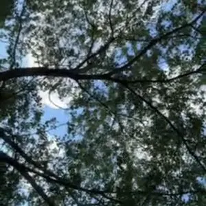 Linda Patty94 OnlyFans Leaked Free Thumbnail Picture - #dyIEA04Wv3