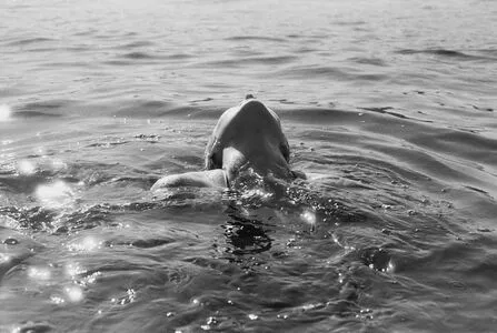 Lindsay Elise OnlyFans Leaked Free Thumbnail Picture - #3XpZksWUW6