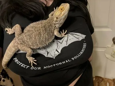 Linrarvtuber OnlyFans Leaked Free Thumbnail Picture - #FGm46oN9YU