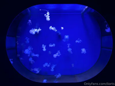 Liorts OnlyFans Leaked Free Thumbnail Picture - #ek71Nb9r6G