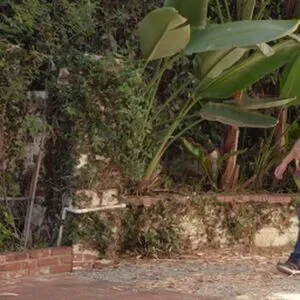 Lisa Ann OnlyFans Leaked Free Thumbnail Picture - #Z0cLWYaTZO