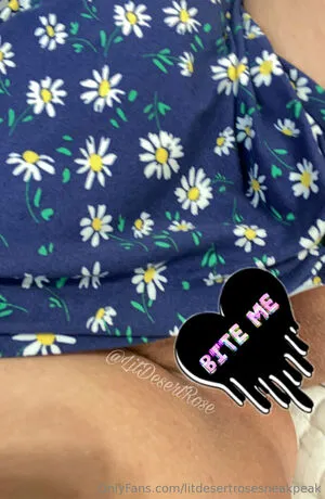 Litdesertrosesneakpeak OnlyFans Leaked Free Thumbnail Picture - #6wwa5T5Wlg